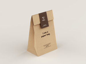 eco friendly paper bags